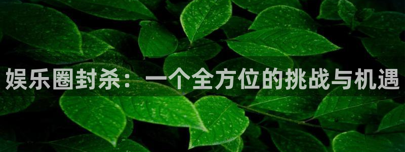 摩登7注册：娱乐圈封杀：一个全方位的挑战与机遇