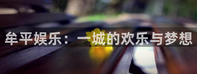 摩登7平台注册：牟平娱乐：一城的欢乐与梦想