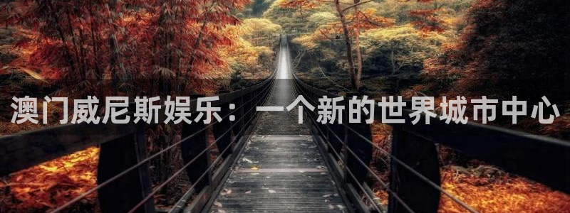 摩登7 lite注册：澳门威尼斯娱乐：一个新的世界城市中心