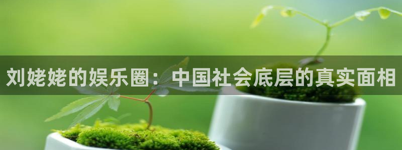 摩登7平台注册：刘姥姥的娱乐圈：中国社会底层的真实面相