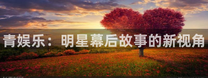 摩登7登录：青娱乐：明星幕后故事的新视角